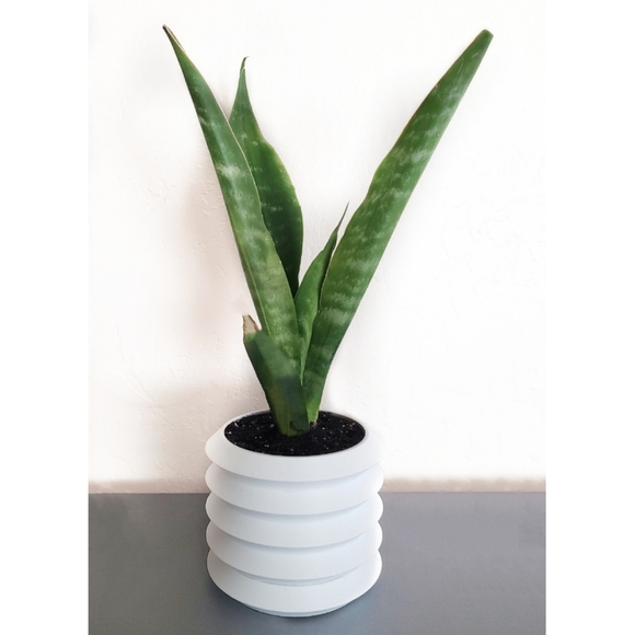 Zag Planter - Picture 1 of 4